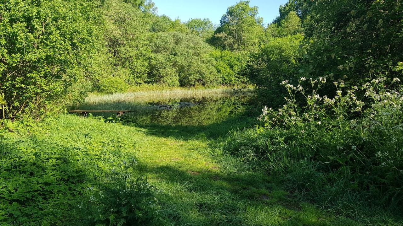 Prive Appartement, Op Camping Westenenk Wijster Eksteriør billede